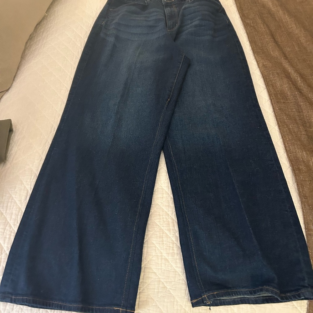 Ann Taylor Dark Blue Flare Jeans